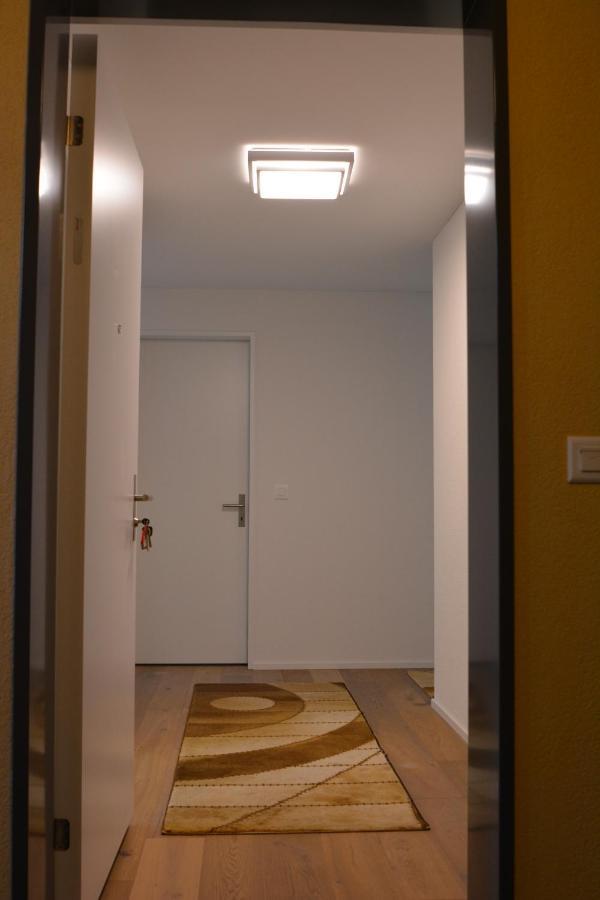 Great New Apartment Surrounded By Nature. Schattdorf ภายนอก รูปภาพ